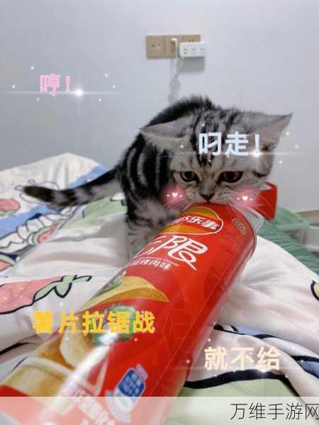 保卫薯片,超有趣的打发时间手游,官方版等你来战!