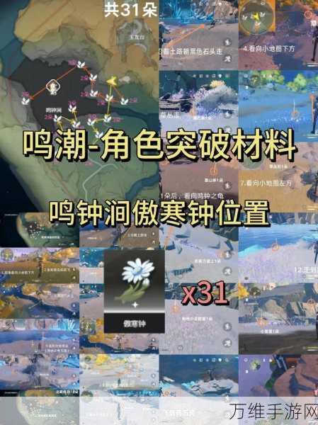 鸣潮手游深度揭秘,角斗本色隐藏任务全攻略,解锁竞技新篇章