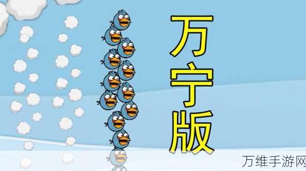 愤怒的小鸟万宁版,畅享休闲闯关新体验