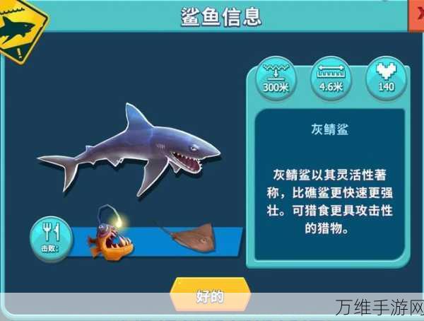 饥饿鲨进化,破解版新鲨鱼来袭,畅玩清新卡通休闲街机之旅