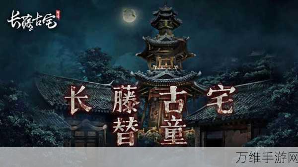 长藤古宅替童剧情深度揭秘,恐怖与悬疑交织的探险之旅