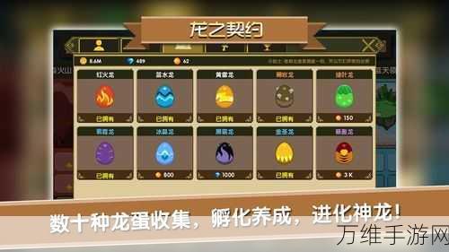 揭秘龙之契约兑换码宝藏,快速获取与高效使用指南