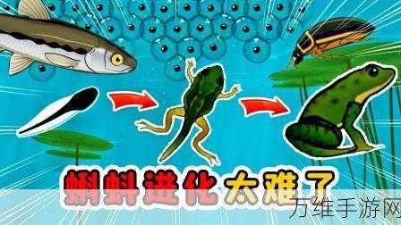 青蛙进化安卓版,轻松放置 趣味点击 等你来战