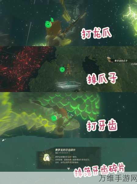 塞尔达传说王国之泪,高效刷取龙素材全攻略