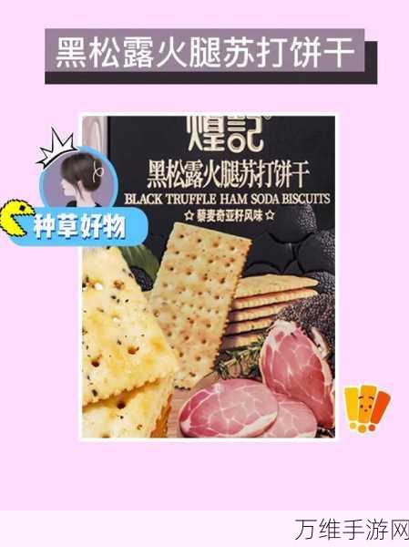 我隐藏的东西,刺激无限的物品搜索之旅
