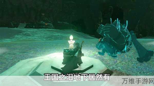 探秘王国之泪,冰雪莱克胃石详尽攻略与位置揭秘