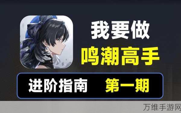 鸣潮角斗本色,高手进阶攻略,解锁角斗场荣耀之战!