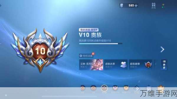王者荣耀星会员等级全攻略,解锁荣耀特权,提升游戏乐趣