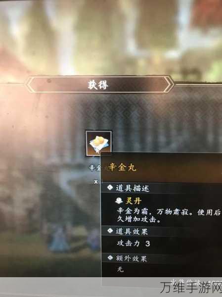 探秘阎浮镇,逸剑风云决宝箱全攻略,解锁隐藏宝藏!