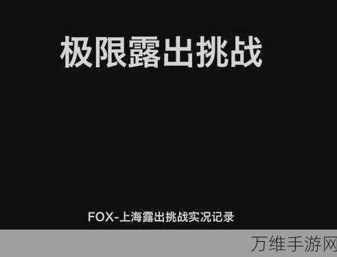 图文世界报喜不报忧全关卡通关秘籍,解锁隐藏关卡,挑战智力极限!