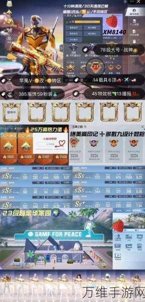 和平精英2024段位排名全解析,登顶巅峰之路