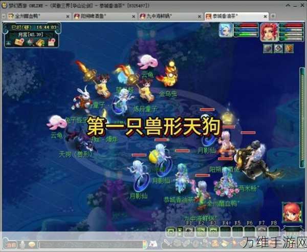 梦幻西游人形宝宝全揭秘,珍稀种类与独特技能一网打尽