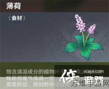 鸣潮火锅底料大揭秘,获取攻略与游戏盛宴