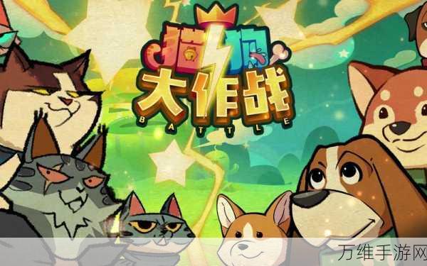 探探猫大作战全新幻武系统震撼登场,解锁战斗新纪元!