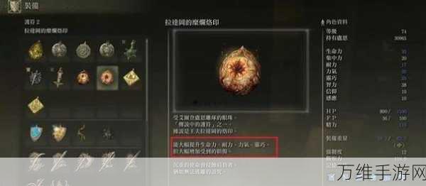 艾尔登法环深度攻略,揭秘护符皮袋的获取之道