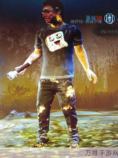 揭秘黎明杀机Steam售价,畅玩恐怖生存竞技的绝佳时机!
