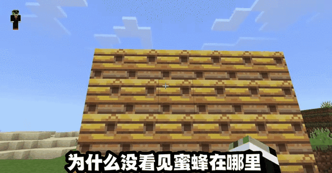 我的世界蜜蜂驯服与高效养殖秘籍,打造甜蜜家园的终极攻略