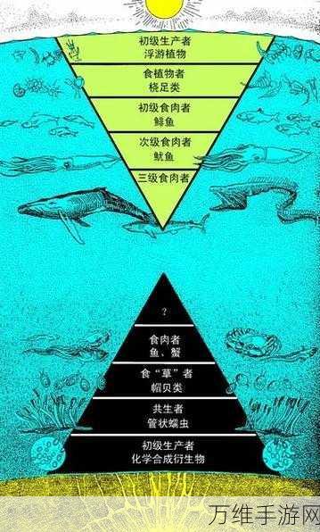 星球重启深度攻略，揭秘荧光蓝蚀浮蝣体样本高效采集法