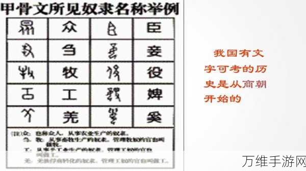 汉字大挑战！进击的汉字醒字拆解20字通关秘籍