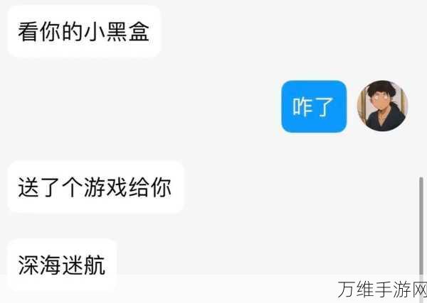 小黑盒礼品卡与CDKey全面解析，哪个更适合你？