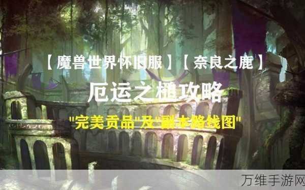 魔兽世界怀旧服,揭秘厄运之槌副本全攻略