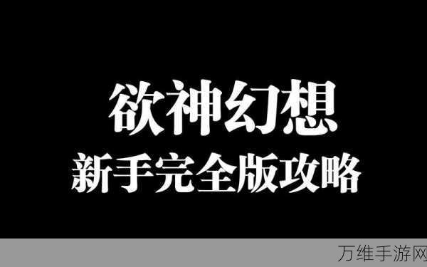 欲神幻想，新手必看！顶尖角色培养攻略大揭秘