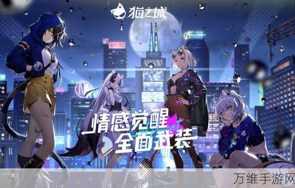 猫之城进不去?全面解析与高效解决方案!