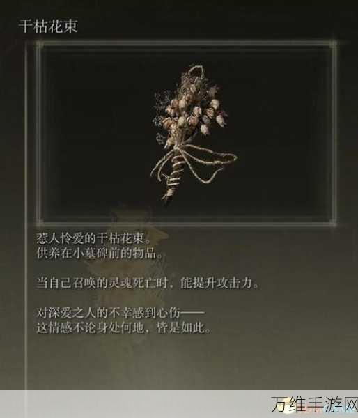 艾尔登法环深度攻略,雷电枪护符完美搭配策略揭秘