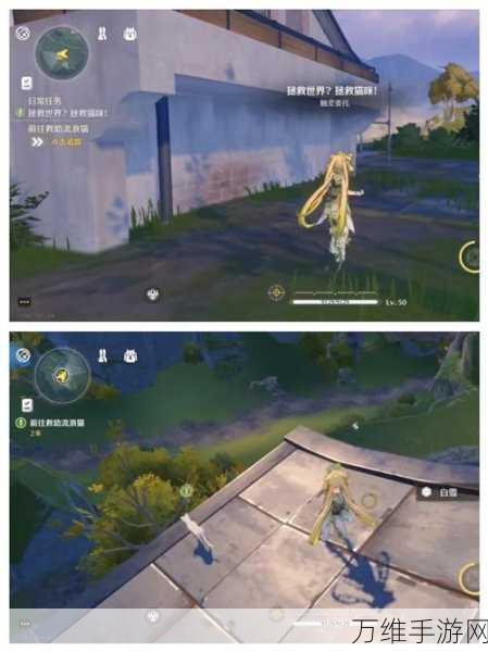 鸣潮手游深度攻略,救助无名猫咪任务全解析,爱心与技巧并重