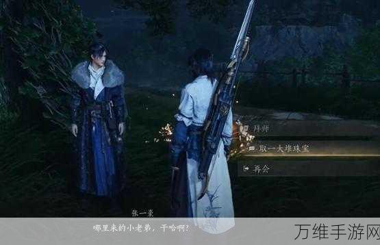 燕云十六声,揭秘这款游戏的网游与单机之争