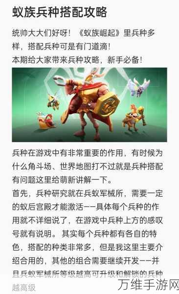 手游攻略,揭秘攻城掠地最强阵容搭配策略