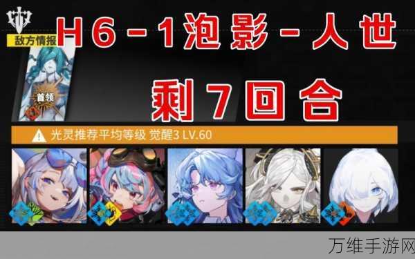白夜极光,新手必备!高效阵容搭配攻略大揭秘