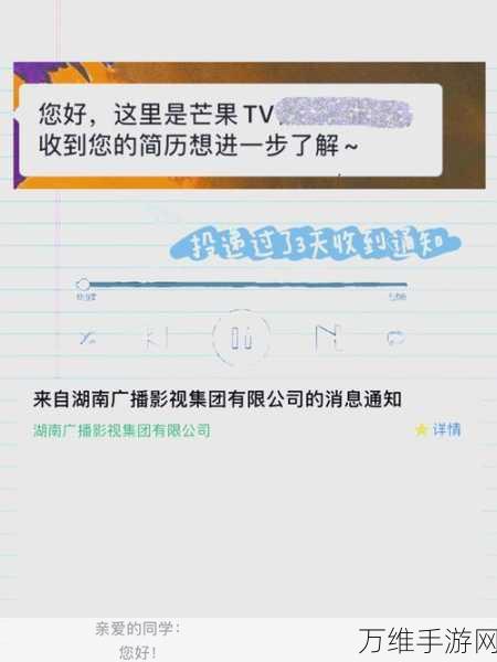 手游玩家必看！掌握这个技巧，让你的游戏体验再升级——揭秘芒果TV亮度调节法在游戏中的应用