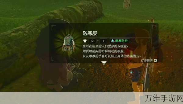 塞尔达传说防寒服装获取攻略,解锁冰雪世界的冒险必备!