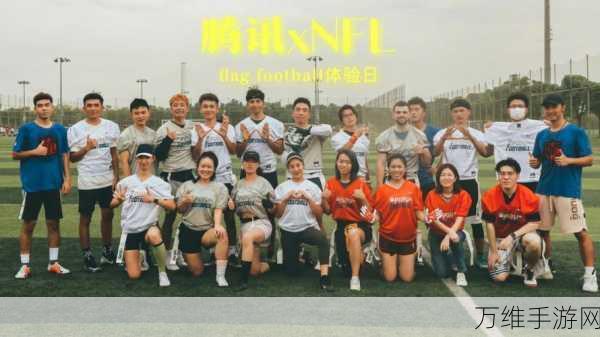 NFL 2K 手机版,热血橄榄球模拟激战全攻略