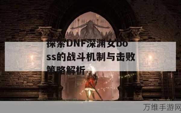 DNF深渊征战策略，揭秘高效击杀顺序，助你速通深渊！