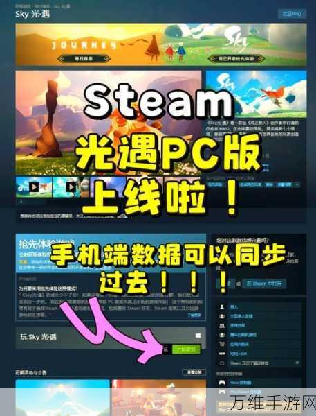 光遇Steam版跨平台联机全解析，手机与PC能否共赴光之旅程？