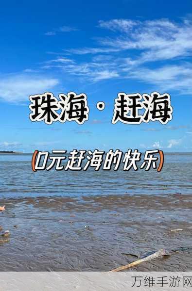 畅玩赶海大市场破解版，趣味模拟经营之旅