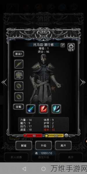 手游攻略,揭秘地下城堡3始源之火高效获取攻略