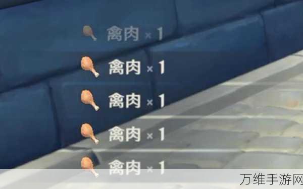 原神玩家必看,高效获取禽肉攻略大揭秘