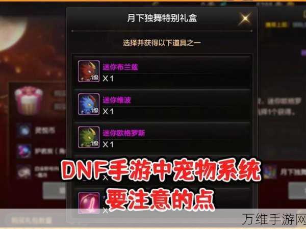 DNF手游宠物装备转移全攻略，轻松玩转宠物系统