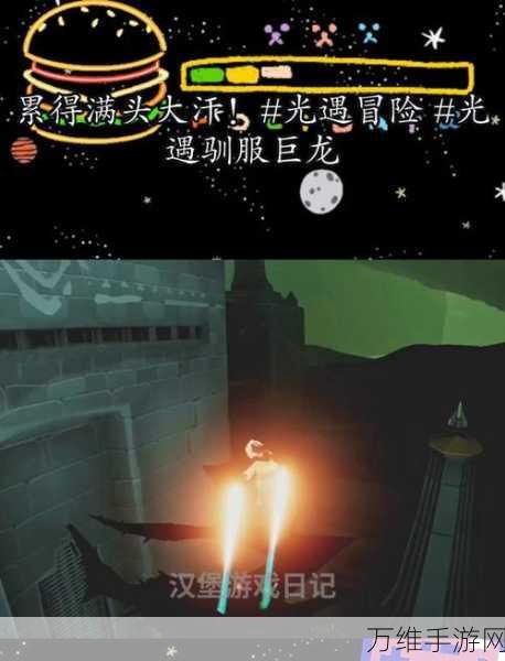 光遇驯龙奇遇，解锁神秘奖励与无尽探险