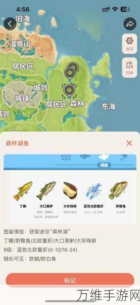 心动小镇钓鱼攻略，揭秘多瑙哲罗鱼的最佳垂钓时间与地点