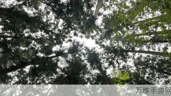 春秋封神×杜伯联动挑战全攻略,解锁封神之路的必胜秘籍