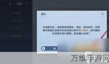 航海王壮志雄心赛季荣耀揭秘,如何查看段位荣誉排行榜及比赛细节全解析