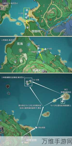 原神藻海寻踪,详尽图文攻略,解锁隐藏宝藏与谜题!