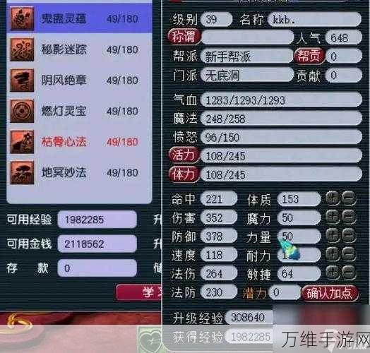 梦幻西游无底洞加点与装备搭配全攻略,打造顶尖辅助角色