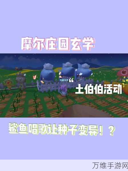 摩尔庄园土地伯伯玩法全攻略,打造梦幻庄园的秘诀