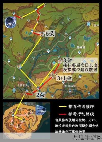 原神小灯草高效采集指南，解锁全地图采集热点