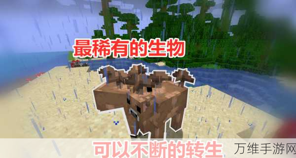 我的世界养殖攻略,揭秘牛繁殖冷却期与羊饲养秘籍